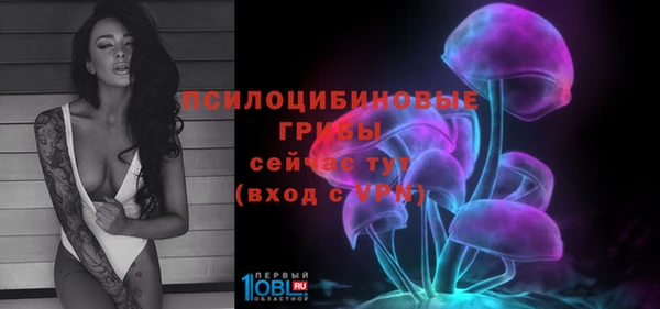 ECSTASY Белоозёрский