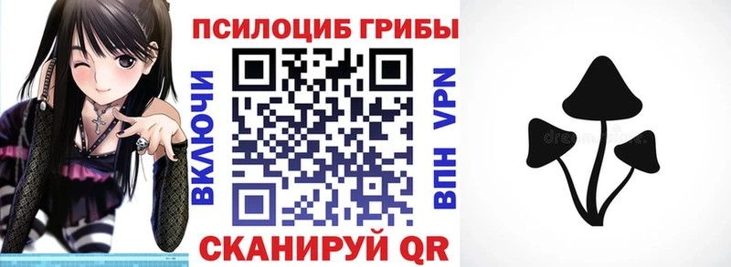 Галлюциногенные грибы Psilocybe  Лермонтов 